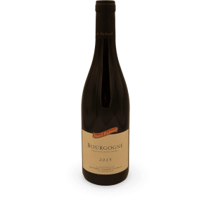 BOURGOGNE BOURGOGNE ROUGE DAVID DUBAND 2023