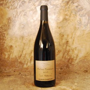 Saumur Champigny La Paterne 2023 – Antoine Sanzay